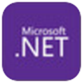 NET Frameworkv4.8.0