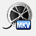Bigasoft MKV Converterv3.7.50