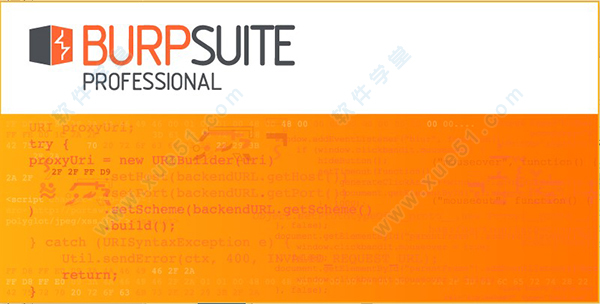 Burp Suite 2020破解版-Burp Suite Pro 2020.8汉化破解版下载(附安装教程+使用教程)[百度网盘资源]